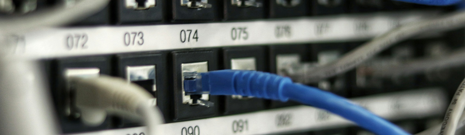 Shows network network switch